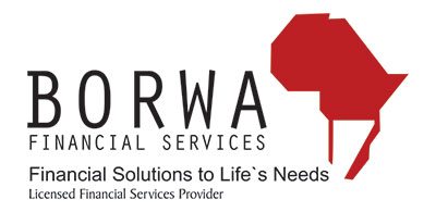 Borwa Financial Services Logo